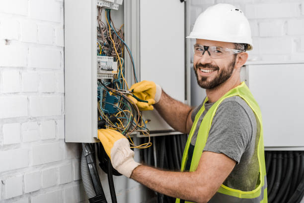 Best Electric Panel Repair  in Lake Camelot, IL